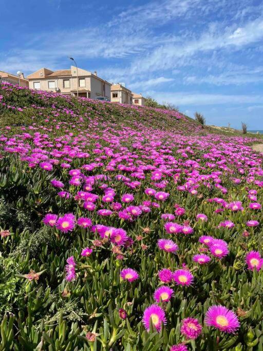 טורבייחה Ferienwohnung Miramar V מראה חיצוני תמונה